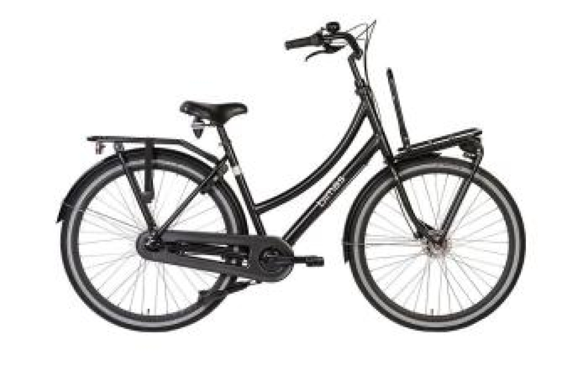 Azor Tweelingfiets NN8D Dames Antrablauw 53cm 2025